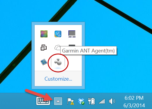 garmin ant agent not connecting