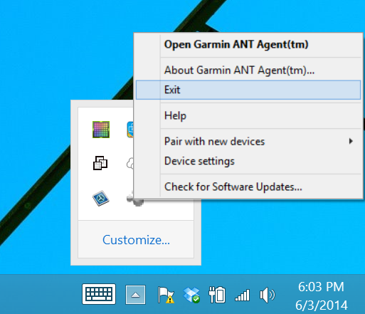 download garmin ant agent windows 10